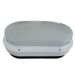 Tortuga blanca con aro  [UM 1u | 20u]