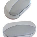 Tortuga blanca con visera  [UM 1u | 20u]