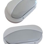 Tortuga blanca con visera  [UM 1u | 20u]