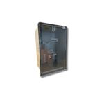 Caja medidor trifasica c/reset edenor  [UM 1u | 4u]